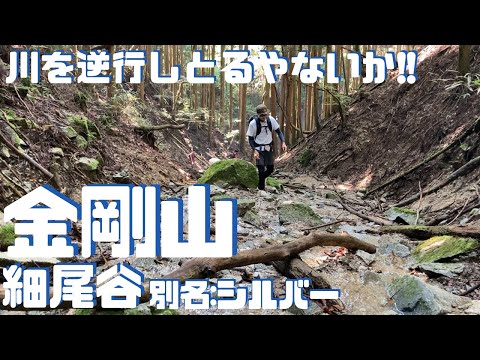 シルバースローン山の北東面の眺め。