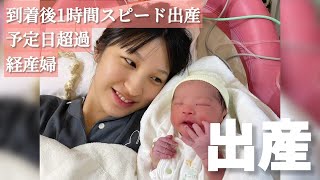 【出産レポ】陣痛からスピード出産｜ラスト10分間ノーカット【第2子出産】