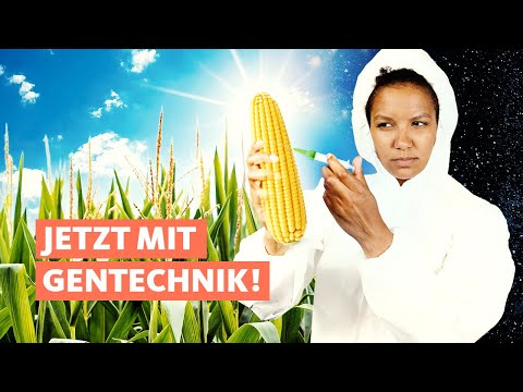 Neues EU-Gesetz: Dieses Genfood muss bald nicht mehr gekennzeichnet werden | Quarks