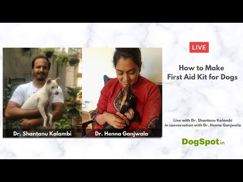 How to Make a First Aid Kit for Dogs with Dr. Shantanu Kalambi