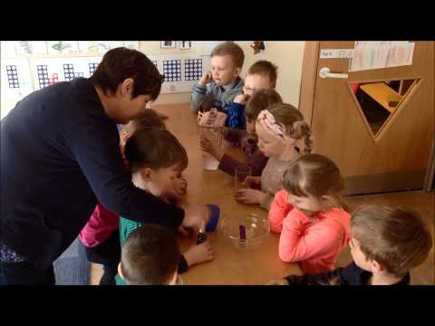 Garðsael Comeniusar - tilraun