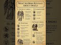 What the Bible Reveals About Angels #shorts #bible #jesus #sins #angel #god #wisdom #faith #truth