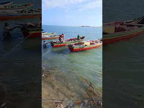 beira mar de Camocim Ceará Brasil #brazil #nordeste #praiasdonordeste #canoasdepesca #barcos #fisher