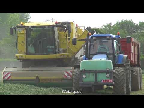 SPECIAL Loonwerken Goemaere Erwten Dorsen | Harvesting Pea's 2018