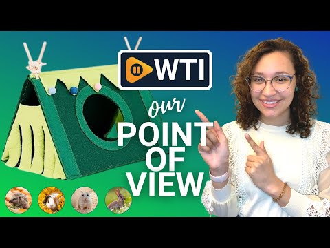 Verla Guinea Pig Hideout - WTI product video review