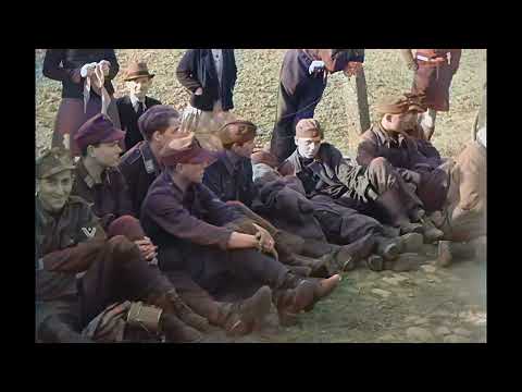 Bevrijding Harderwijk