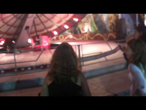 Ciga atrakcija senzacija Guca 2014