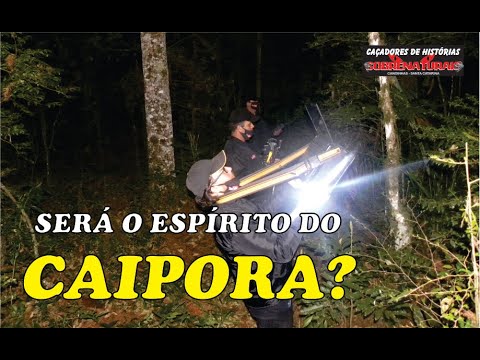 Seria o espírito do caipora? - confira essa investigação