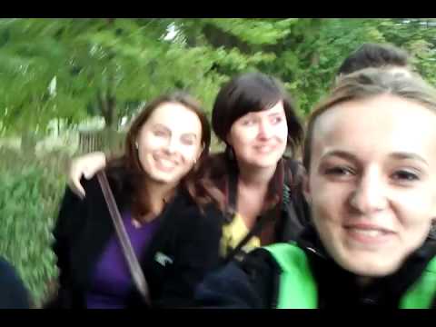 Plimbare cu docarul la Timisesti