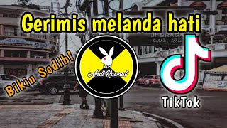 Download lagu DJ VIRAL GERIMIS MELANDA HATI REMIX SLOW TERBARU 2021 mp3