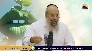 הושענא רבה | הטקס השקט שמזעזע את הלב | ישועה מתחילה בפירגון ᴴᴰ (הרב שי עטרי) - התמונה מוצגת ישירות מתוך אתר האינטרנט יוטיוב. זכויות היוצרים בתמונה שייכות ליוצרה. קישור קרדיט למקור התוכן נמצא בתוך דף הסרטון