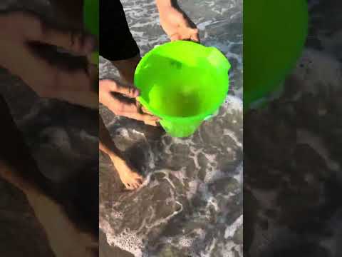 Abhinav and Akshara | San Antonio | Galveston beach | 2023 