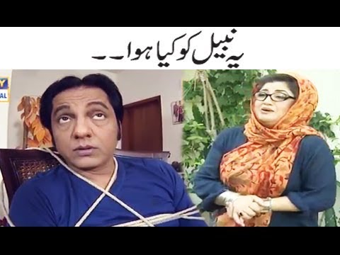 Yeh Nabeel Ko Kya Hua - Momo | Bulbulay