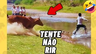 TENTE NÃO RIR IMPOSSÍVEL 😂 - OS MELHORES memes e VÍDEOS ENGRAÇADOS 2026 #memes #humor #115