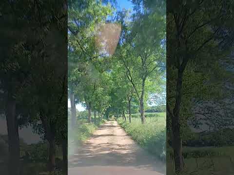 #recanto da praia @JABORANDI-BA