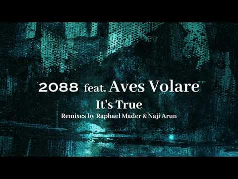 2088 feat. Aves Volare - It's True (Naji Arun Remix)
