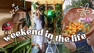 VLOG | rearranging my plant shelves, sewing projects, and harvesting tomatoes!