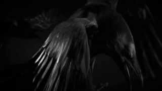 Bathory - "The Ravens"