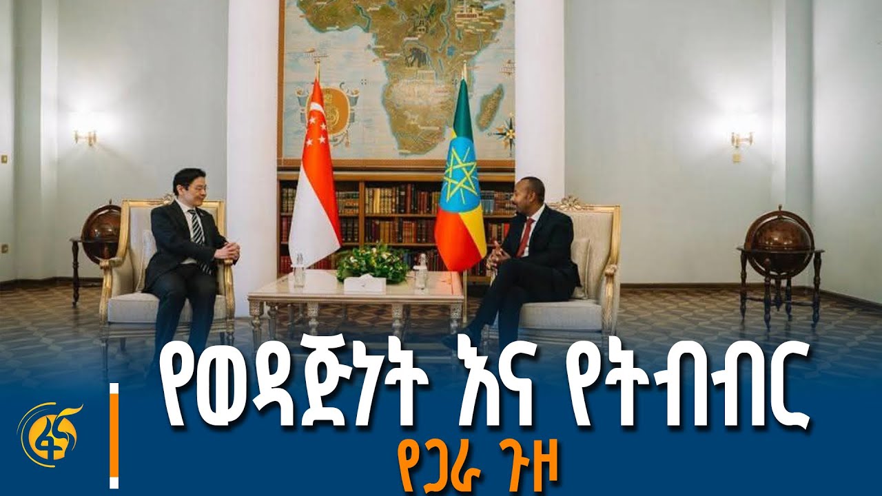 ጠቅላይ ሚኒስትር ዐቢይ (ዶ/ር) እና የሲንጋፖር ጠቅላይ ሚኒስትር ላውረንስ ዎንግ ያደረ?