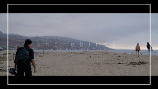 Shorebirds with my OLD Nikon D800 - a DSLR in the age of mirrorless! Gotta think about each shot 💖