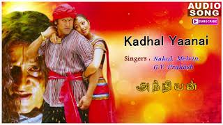 Kadhal Yaanai Song  Anniyan  Shankar Movie  Anniya