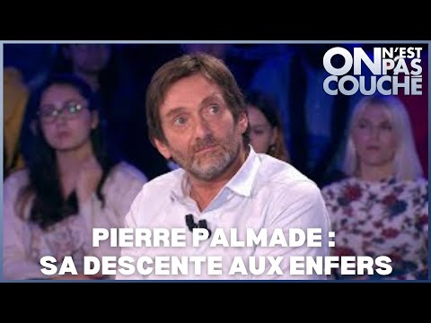 Pierre Palmade : "Je ne prendrai plus jamais de drogue de ma vie" - On n'est pas couché 4 mai 2019