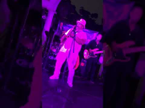 Promotional video thumbnail 5 for Larry Taylor and the Soul Blues Healers