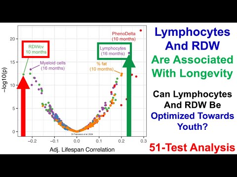 Can Lymphocytes And RDW Be Optimized Towards Youth? (51-Test Analysis)