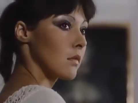 Die Besucher   Teil 8   Genie hinter Mauern