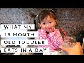 WHAT MY 19 MONTH OLD TODDLER EATS IN A DAY | FOOD DIARY