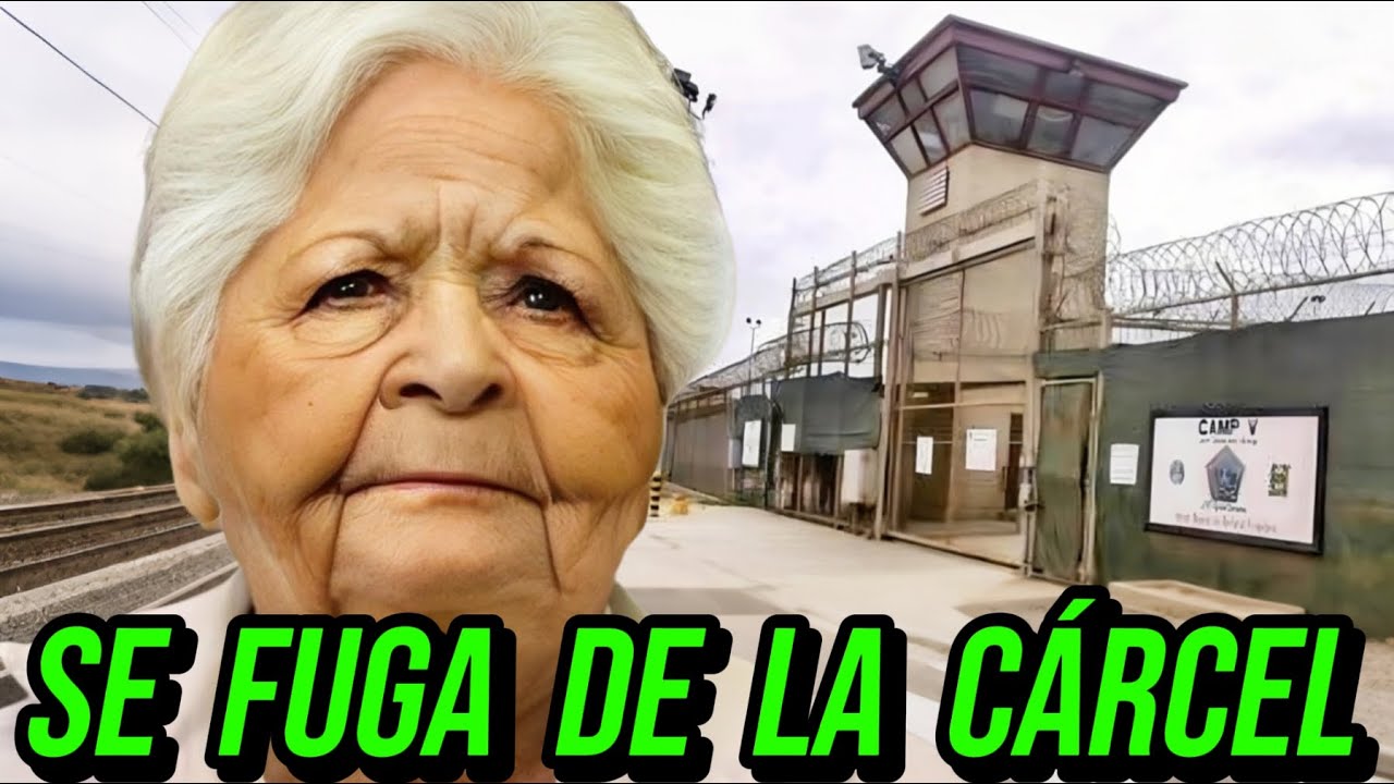 YouTube Thumbnail Downloader FULL HQ IMAGE