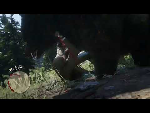 Hungry Grizzly Bear almost eat me alive . RDR2