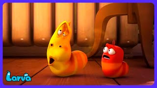 Larva - O Apito Mágico! | Desenhos Infantis | WildBrain Crianças