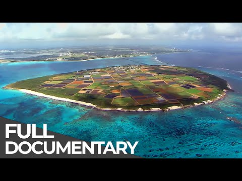 Somewhere on Earth: Japan