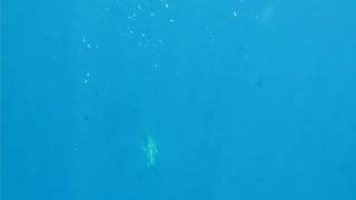 Hiroko Konishi, Aquagirl....