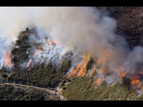 ANAFI Thermal - Firemen assistance
