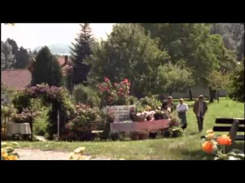 Utta Danella Die Hochzeit auf dem Lande