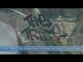 THE TRIBE - The Dream Must Stay Alive - Original ...