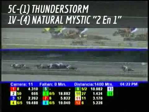 Regalitos En Video La Rinconada Sabado 09/02/2013