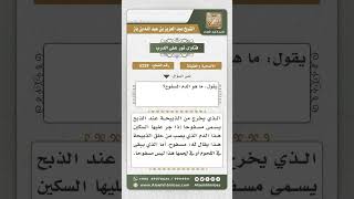 صورة 5228 -  المقصود بالدم المسفوح وغير المسفوح - نور على الدرب