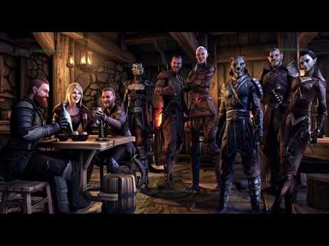 The Wandering Bard | Skyrim Tavern