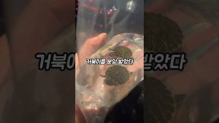 유튜브 썸네일