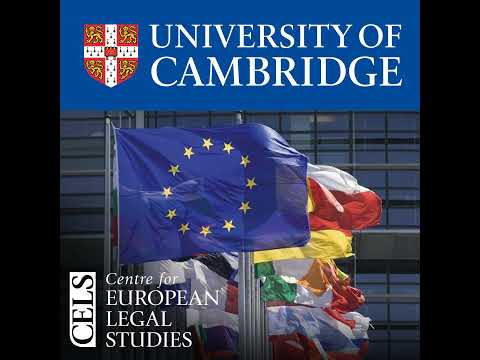 'The EU as Regulator in Private Law: A Neo-Liberal Hegemon or a Civiliser of Capitalist Enterpris...