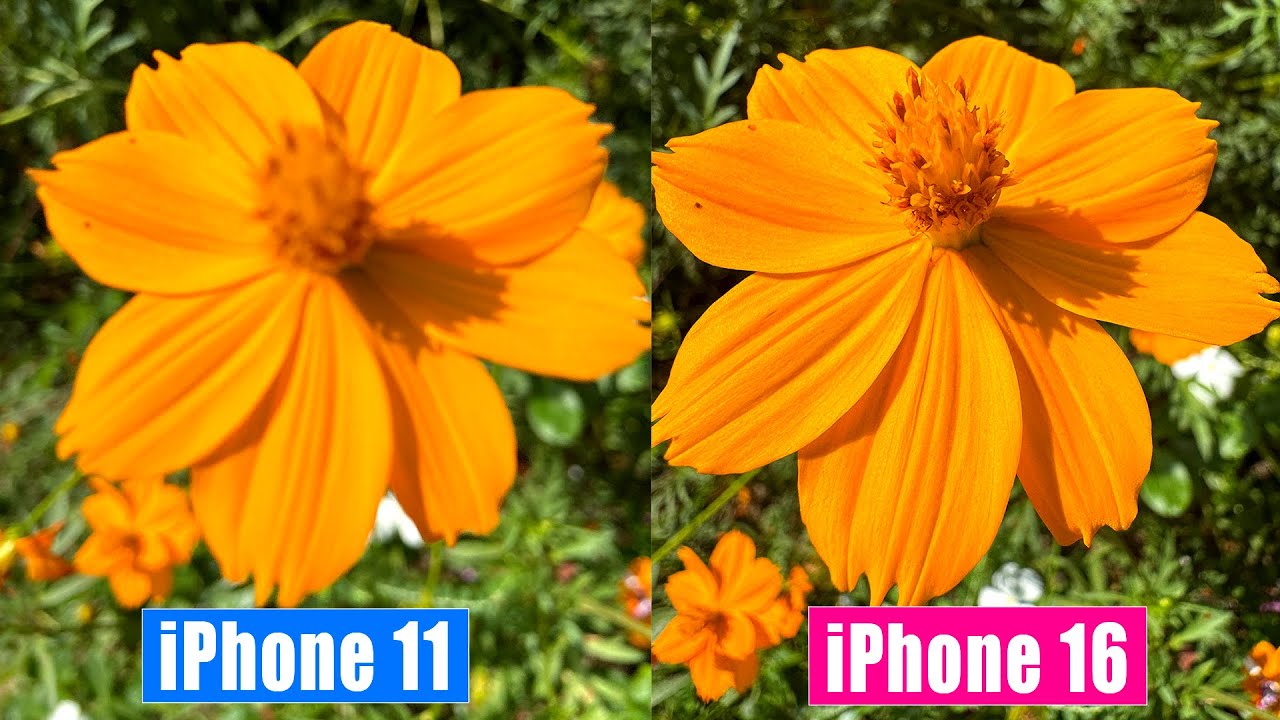 iPhone 16 vs iPhone 11: Camera Test