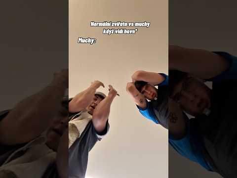 Dobrou chuť🪰..#fyp #foryou #viral