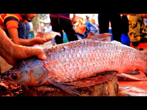 11 kg Big Grass caup fish cutting in Fish market | Fish cutting skill