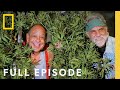 Legal Marijuana In America The New Green Rush Full Episode Nat Geo Investigates