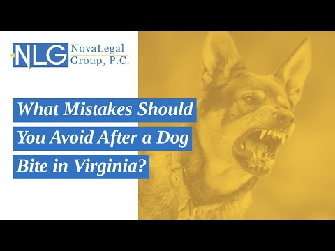 What Mistakes Should You Avoid After a Dog Bite in Virginia? | Free Review by NovaLegalGroup