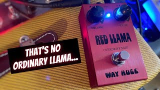Video thumbnail for Way Huge Red Llama MkIII by Jack Fossett