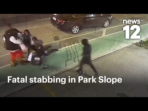 Familie eines Mannes, der wegen tödlichen Messerangriffs auf Zwillinge angeklagt ist, behauptet S...